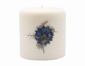 Rosy Rings Pillar Botanical Candle Size: 25'' D x 3.5'' H (Beach Daisy)