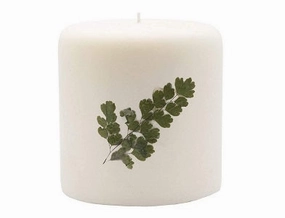 Rosy Rings Pillar Botanical Candle Size: 25'' D x 3.5'' H (Peony & Pomelo)
