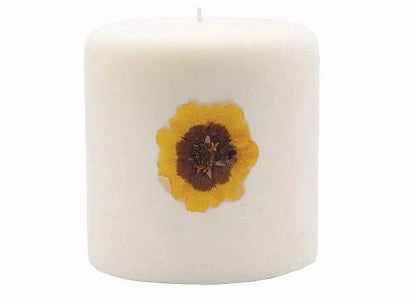Rosy Rings Pillar Botanical Candle Size: 25'' D x 3.5'' H (Pumpkin Cardamom)