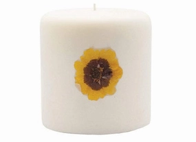 Rosy Rings Pillar Botanical Candle Size: 25'' D x 3.5'' H (Pumpkin Cardamom)