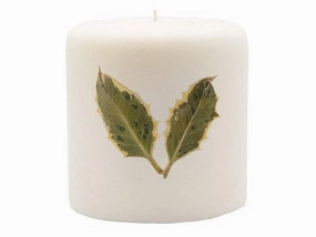 Rosy Rings Pillar Botanical Candle Size: 25'' D x 3.5'' H (Red Currant & Cranberry)