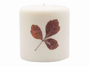 Rosy Rings Pillar Botanical Candle Size: 25'' D x 3.5'' H (Spicy Apple)