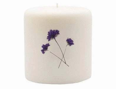 Rosy Rings Pillar Botanical Candle Size: 25'' D x 3.5'' H (Wild Plum & Cannabis)