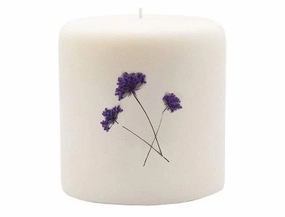 Rosy Rings Pillar Botanical Candle Size: 25'' D x 3.5'' H (Wild Plum & Cannabis)