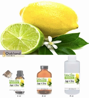Sage & Citrus Fragrance Oil