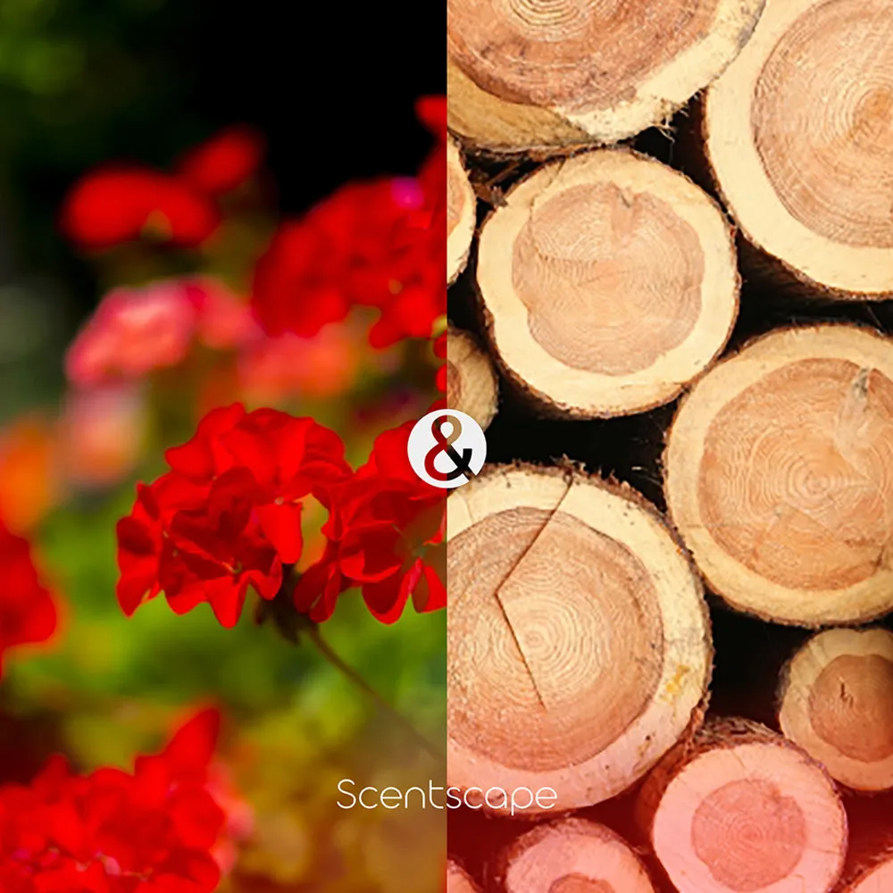 SCENTSCAPE - Geranium & Hinoki 30 sticks
