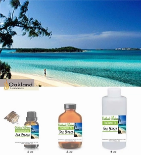 Sea Breeze Fragrance Oil
