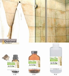 Sex in The Shower Fragrance Oil