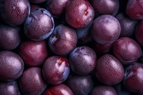 Spiced Plum Fragrance Oil