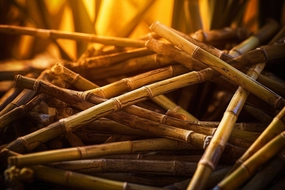 Sugar Fragrance Oil