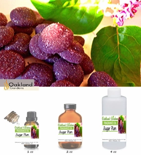 Sugar Plum Fragrance Oil