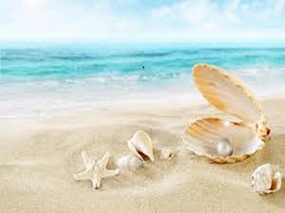 Sun & Sand by YC Type Fragrance Oil