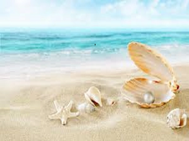 Sun & Sand by YC Type Fragrance Oil