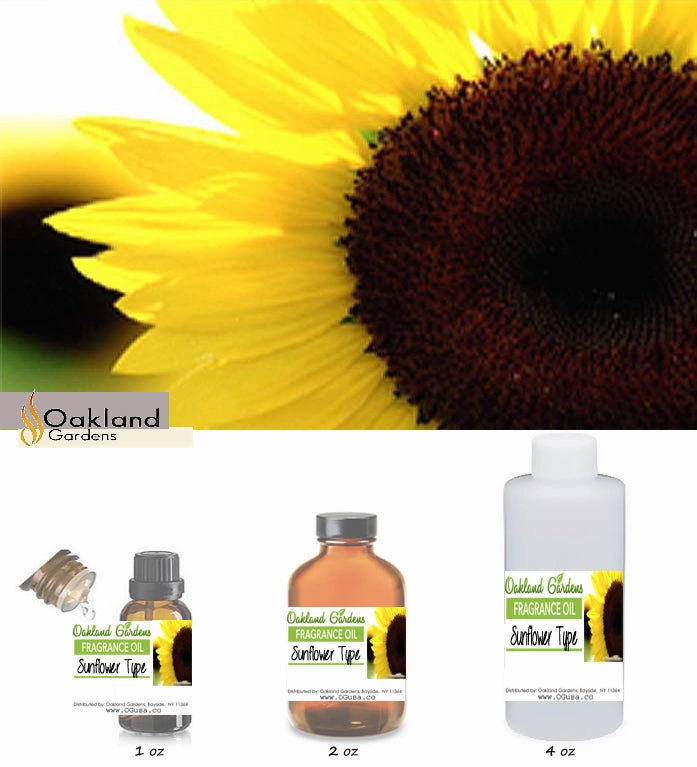 Sunflower Fragrance Oil   (EO Infused)