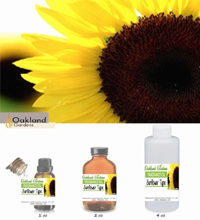 Sunflower Fragrance Oil   (EO Infused)
