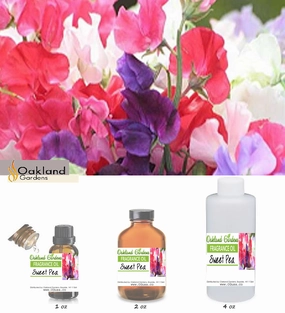 Sweet Pea Fragrance Oil