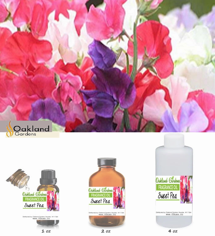 Sweet Pea Fragrance Oil