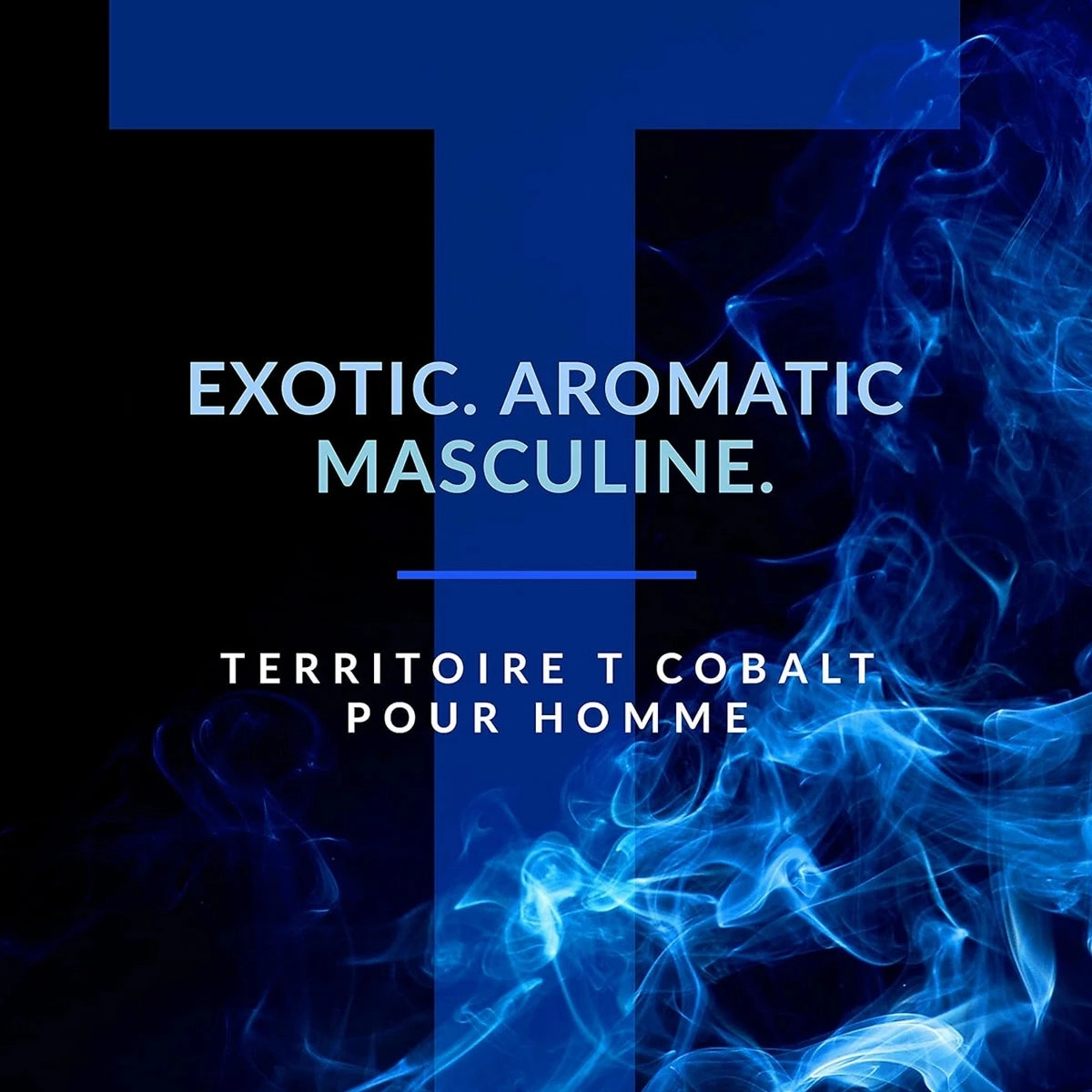 Territoire Cobalt 3.4 oz EDP for men