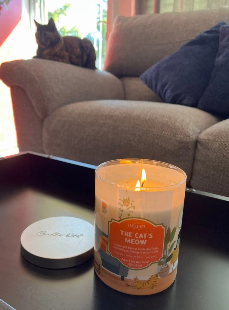 The Cat's Meow 2-wick 17oz Jar Candle