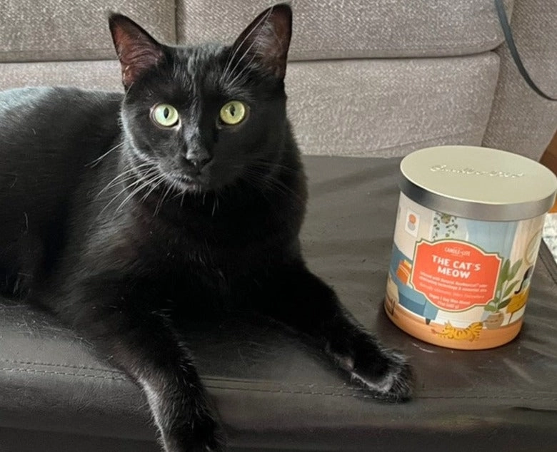 The Cat's Meow 2-wick 17oz Jar Candle