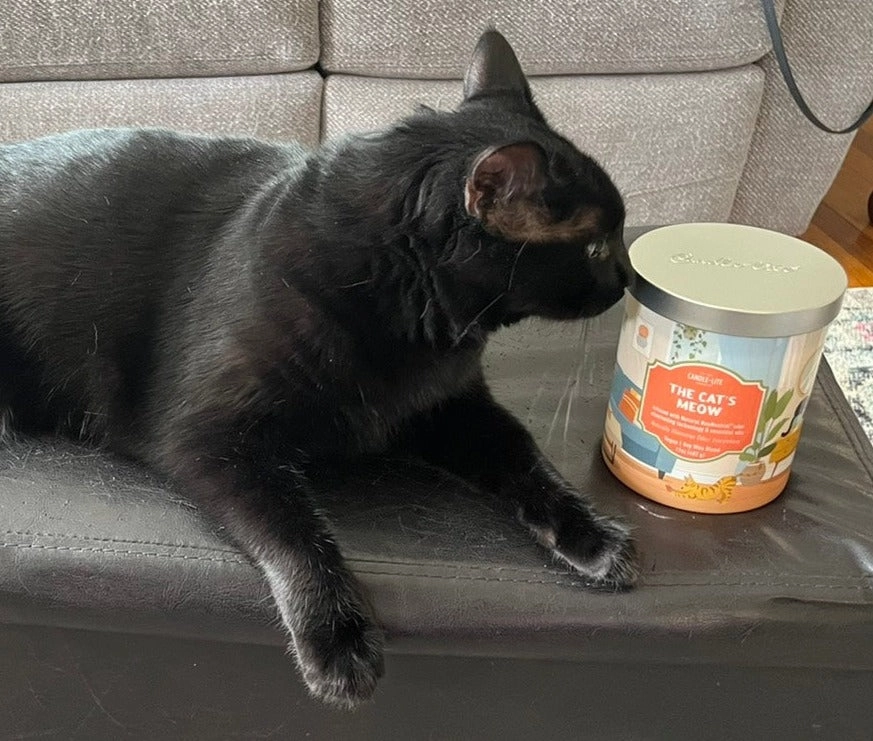 The Cat's Meow 2-wick 17oz Jar Candle