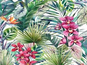 Tropical Elements Type Fragrance Oil
