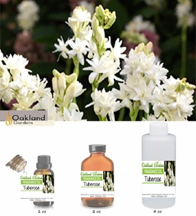 Tuberose Fragrance Oil