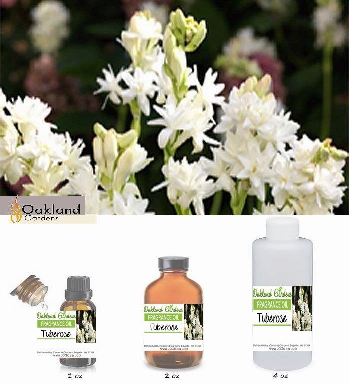 Tuberose Fragrance Oil
