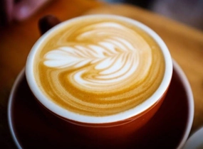 Vanilla Latte - Premium Fragrance Oil