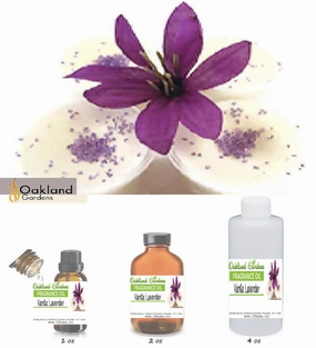 Vanilla Lavender Fragrance Oil