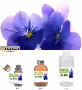 Violet Blossom Fragrance Oil