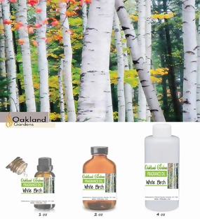 White Birch Fragrance Oil  (EO Infused)