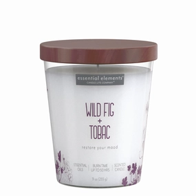 Wild Fig & Tobac 9oz Jar Candle