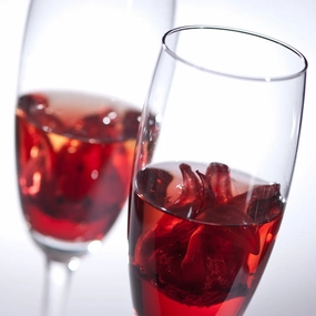 Wild Hibiscus Prosecco - Premium Fragrance Oil