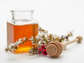 Wild Mountain Honey Type Fragrance Oil