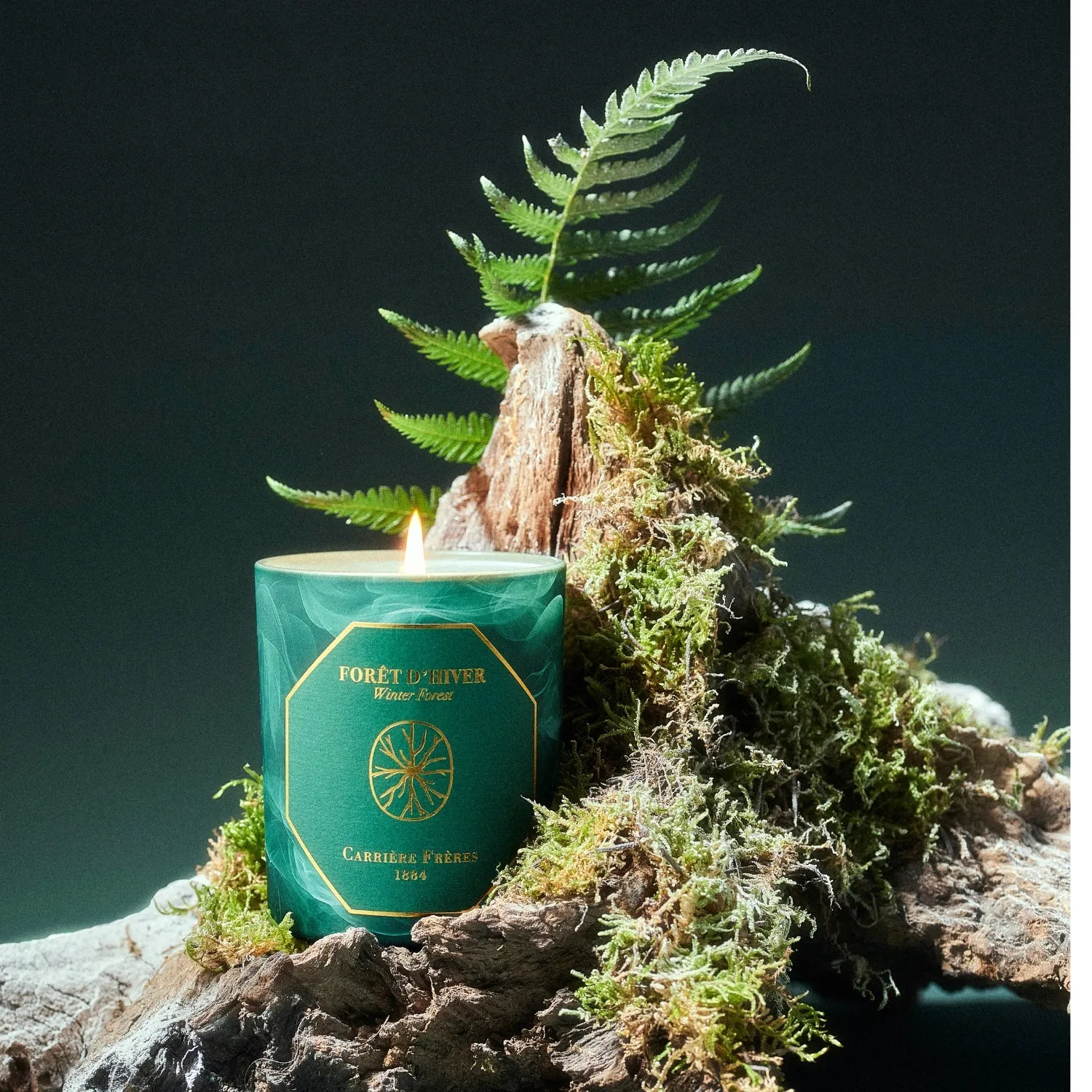 Winter Forest Candle