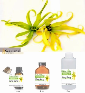 Ylang Ylang Fragrance Oil